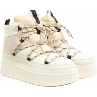 Ash Montana Shell/Tofu A0215821