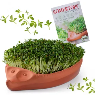 Römertopf Kresseigel Anzuchtschale aus Naturton – Kresse-Set mit Kressesamen für erdlose Anzucht, Kräutertöpfchen 24 cm, spülmaschinenfest, Geschenk für Kinder, Tradition seit 1967