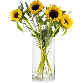 TREND FOR HOME Bodenvase Groß 29 cm Glasvase Zylinder Glasvase Groß Vase für Osterstrauch Klarglas Bodenvase für Pampasgras Transparent Rund Modern Glaszylinder, 4900 ml, Ø 15.8 cm, Magnolia