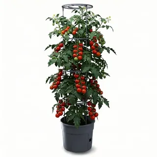 Anzuchttopf Tomatentopf mit Rankhilfe für Tomaten & Gemüse Kunststoff 34,5 cm