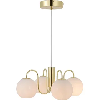 Nordlux Franca Glas-Pendelleuchte 4xE14 Messing Pendellampe 2312543035 - Gold