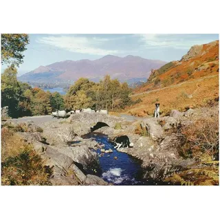 House of Puzzles Puzzle Thirsty Work 1000 Teile Erwachsene Landschaft
