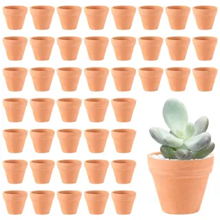 Generisch SHUESS 48er Mini Blumentöpfe aus Ton 3,5 x 3 cm – Tontöpfe Klein mit Entwässerungsloch zum Basteln – DIY Blumentopf Ton Terrakotta – Blumentopf zum Bemalen für Sukkulenten Kräuter Deko