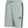 Short Wonder Sage/Collegiate Green L