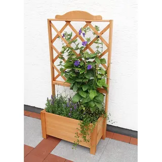 Promadino Rankkasten Botanica 69 x 32 cm Braun