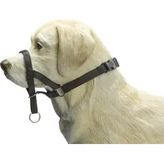 Beeztees BZ DOG CONTROL XL SCHWZ (XL, Hund, Hundesport), Halsband + Leine