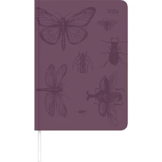 Neumann Alpha Edition - Lady Journal Grande Deluxe Purple 2026 – Buchkalender A5 (ca. 15×21 cm) mit Wochenübersicht & edlem Tucson-Einband, eleganter Taschenkalender für Beruf, Schule & Alltag