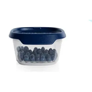 Tupperware One Touch Fresh® 370 ml mit blau Deckel - Grau, Blau