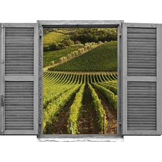 Queence Wandtattoo »Weinberg« Wandsticker, Wandbild, selbstklebend, 3D, Fenster, grün