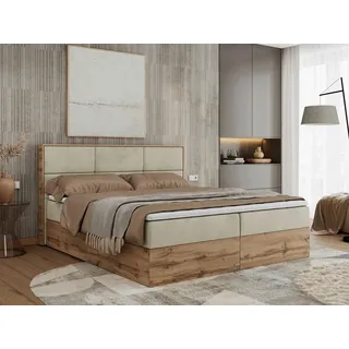 MKS Meble Boxspringbett, Doppelbett mit bettkasten und Multipocket-Matratze, Polsterbett mit Kopfteil, Eiche Holzrahmen - Albero-2 - 140x200cm - Beige Velvet - Beige