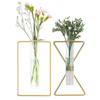 2 Stück nordische Wandvase, goldene geometrische Vase zum Aufhängen, Hydrokultur-Pflanzgefäß, Wandmontage, Metallglas, Röhrchen, Knospenvase, Hochzeit, Heimdekoration (Gold 5)