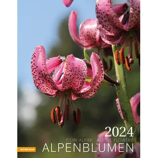 Alpenblumen Kalender 2024: Fiori alpini – Alpine flowers