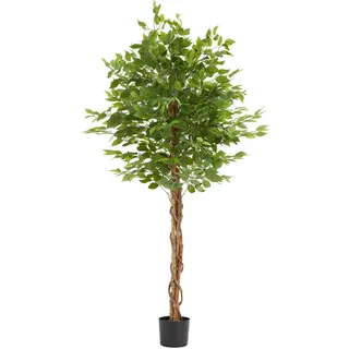 tectake Künstlicher Ficusbaum Fida, stabiler Kunststoff-Blumentopf, grün , Grün , 180 cm , Dekoration, Blumen & Blumentöpfe, Kunstpflanzen