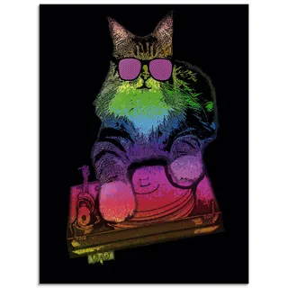 Artland Glasbild »Witzige DJ Katze Party Musik« Humor 1 Stk. tlg. in verschiedenen Größen, bunt