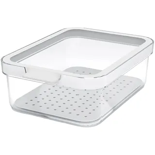 Rotho Frischhaltedose rechteckig transparent 1,2 l