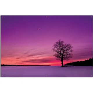 Wallario Outdoor-Poster für Garten oder Balkon, Motiv Mond und Baum am Abend bei Schnee, in ca. 61 x 91,50 cm - Schwarz