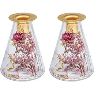 Rayher Glasvase mit Trockenblumen + Kerzenhalter, 12,5 cm hoch, 8 cm ø, konisch, für Stabkerze, Trockenblumen im Glas mit Kerzenhalter, 46697000 (Packung mit 2)