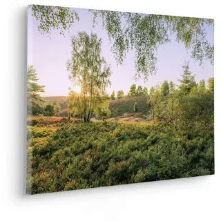 KOMAR Keilrahmenbild im Echtholzrahmen, - »Sommerabend - Größe 60 x 40 cm« - Bild, Leinwandbild, Landschaftsmotiv, Wohnzimmer, Schlafzimmer