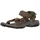 Terra Fi Lite Herren Dark Olive 42