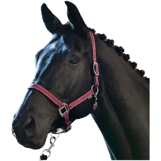 Horse Guard RIO Halfter 1 St