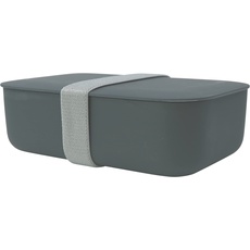 Cao Schwarze Lunchbox, 1,4 l, für Erwachsene, Unisex, 19,2 x 12,8 x 5,7 cm