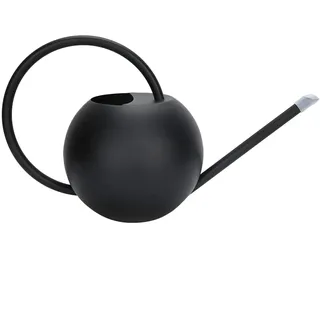 Gießkanne Klein 1L Schwarz aus Edelstahl, Giesskanne für Zimmerpflanzen mit Langer Präzisionstülle, für Innen und Außenbereich, Gebürstete Oberfläche