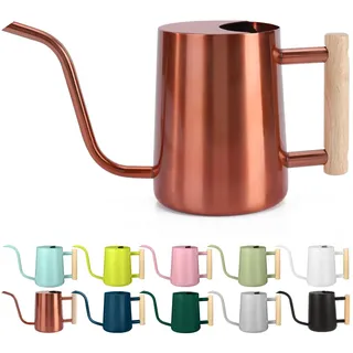 Gießkanne Zimmerpflanzen, 1L Gießkanne Klein Indoor Metall Edelstahl Moderner Dekorativer Giesskanne mit Langem Auslauf für Haus Pflanze Bonsai Outdoor Garten Blumen (Kupfer)
