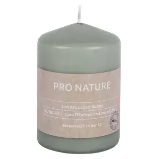 Müller Kerzen "PRO NATURE" Stearin Stumpenkerze 100/68mm, Nachhaltige Kerzen mit natürlichen Inhaltsstoffen in einer modernen kleinen Form, 1 Packung = 6 Stück, minze