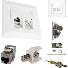Bild ESN 300 Netzwerkdose Unterputz Einsatz mit Zentralplatte und Rahmen CAT 6a Reinweiß (RAL 9