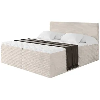 altdecor TOLO-v1 160 x 200 cm H4 Creme