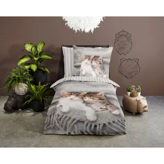 PURE luxury collection Kinderbettwäsche »Snooze« 2 Stk. tlg. Mikrofaser, 135x200, Pflegeleicht, Reißverschluss, Wende, Kind, Katze, grau