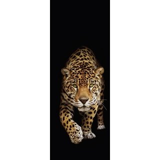 Euroart Glasbild 30 x 80 cm Panther II Glas Orange