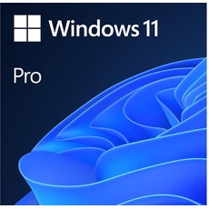Bild von Windows 11 Pro IT