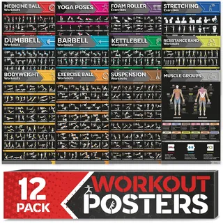 Grand Basics Laminiertes großes Workout-Poster-Set – perfekte Workout-Poster für das Fitnessstudio zu Hause – inkl.Übungstabellen, 12er-Set Hantel-, Yoga-Posen, Widerstandsband-, Kugelhantel-, Stretching- usw.