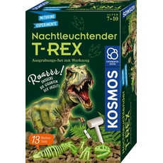 Bild T-Rex nachtleuchtend (65802)