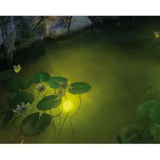 Paulmann LED Teichleuchte Aluminium 19,5 cm inkl. 2m Kabel schwarz