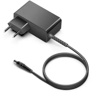 TAIFU 24V 1A Netzteil Ladekabel für Philips Hue Lightstrip Plus 2.0 HUE20 800276 800268 555334 Light Strip HUESTRIPMK2 71901 71902A 71903 S020CM2400083 S020YM2400083 24W Ladegerät