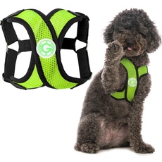 Gooby - Comfort X Step-in Harness, Choke Free Small Dog Harness with Micro Suede Trimming and Patented X Frame, Green, Large