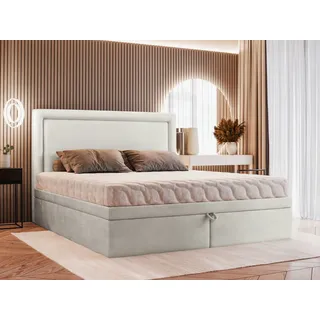 VALLH Polsterbett Bett 200x220 mit bettkasten Grau Samt - Kontinentalbett mit lattenrost (Hanna Piano 13) - Grau