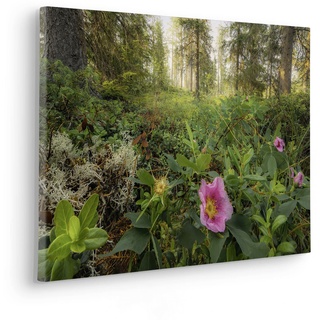 Komar Keilrahmenbild im Echtholzrahmen - Charming Woods - Größe 60 x 40 cm - Bild, Leinwandbild, Landschaftsmotiv, Wohnzimmer, Schlafzimmer