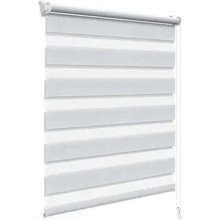 WOLTU Doppelrollo Klemmfix ohne Bohren Grau B70 x H150 cm, Duo Rollo lichtdurchlässig Fensterrollo für innen verdunkelnd, Zebrarollo mit Kettenzug - Seitenzugrollo für Fenster und Tür
