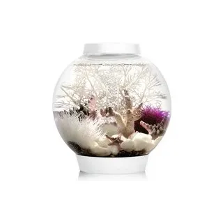 Oase 72001 biOrb CLASSIC 15 LED weiß Aquarium 15 l mit LED-Beleuchtung