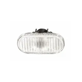 VAN WEZEL Blinkleuchte 4371915 vorne rechts für RENAULT