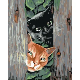 ZUTY 1156231, Malen nach Zahlen-LAUERNDE Katzen 40x50 cm mit Keilrahmen (bereits gespannt)