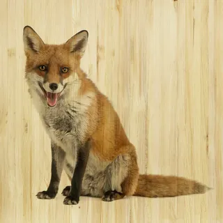 Babywanddeko , Multicolor , Holz , Birke , 30x30x3 cm , Babymöbel & Kindermöbel, Babyzimmer, Kinderzimmer Deko