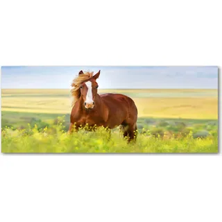Tulup® Küchenrückwand Spritzschutz aus Glas -125x50 -Spritzschutz auf gehärtetes Glas Deko Tiere Braunes Pferd