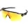 Radar EV Path 9208C9 Polished Black/Prizm 24K