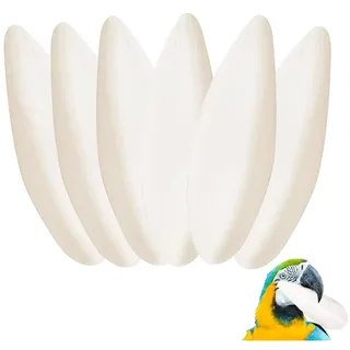 QEDBOJE 6 Stück Premium Sepia Schalen für Vögel Reptilien Bartagamen und Schnecken, Natürliche Kalzium u. Mineralversorgung, Sepiaschalen für Schildkröten (10-12cm)