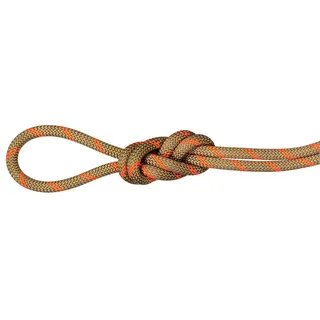 Mammut Alpine Dry Kletterseil (Größe 30M, beige)