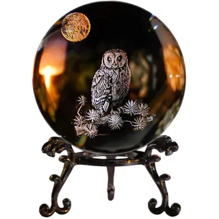 Pixaro 3D Laser Kristallkugel Eulen Deko - Eulen Geschenke Briefbeschwerer, Schneekugel Eule Glaskugel, Ornament, Dekorative Kugeln,60mm